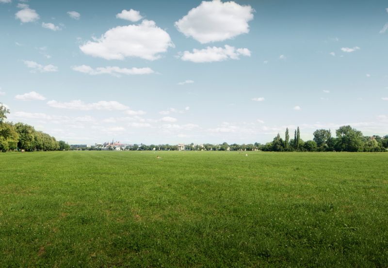 Błonia Kraków - trawiasta polana jako świetne miejsce na spacer i piknik