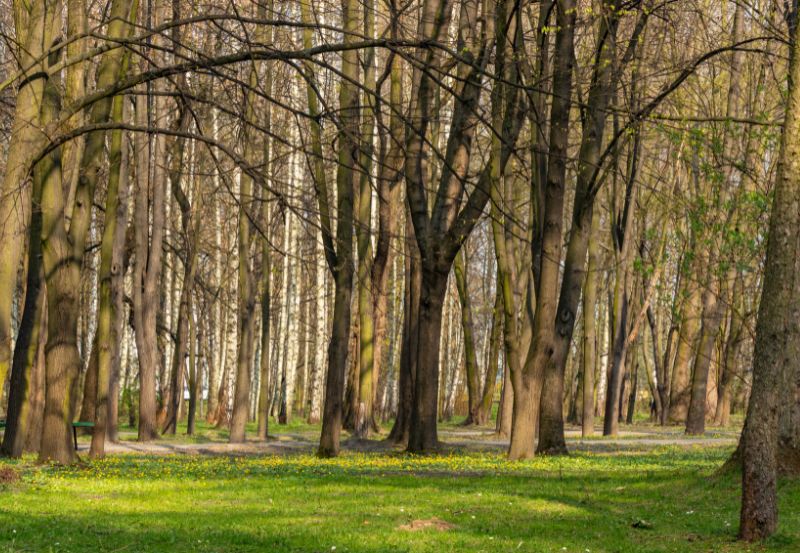 Park Lotników Polskich