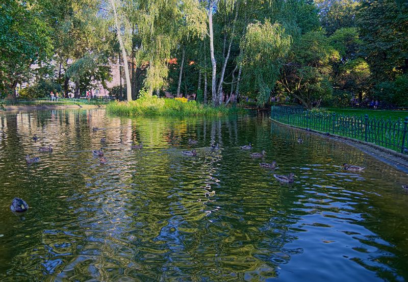 Planty w Krakowie - idealne miejsce na spacer