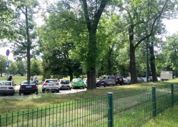 Gdzie zaparkować za darmo przy Błoniach - mało kto zna to miejsce w centrum Krakowa