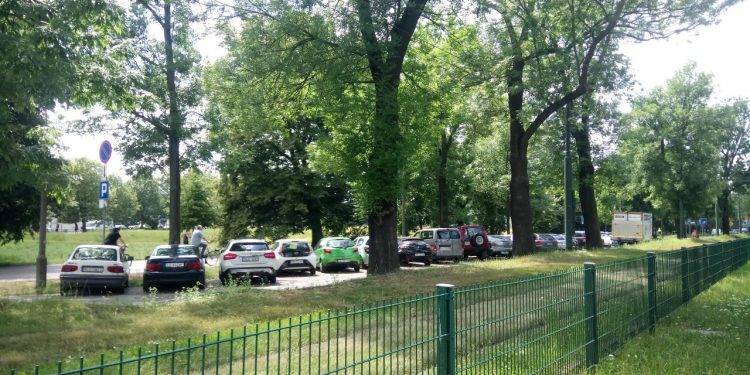 Gdzie zaparkować za darmo przy Błoniach - mało kto zna to miejsce w centrum Krakowa