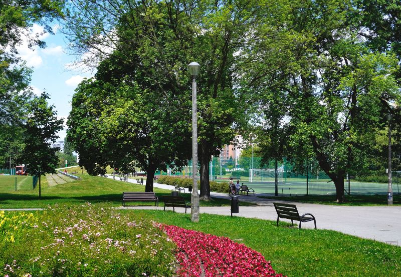 Ławki i zieleń w krakowskim parku