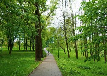 Park Dąbie - miejski park zieleni zzm w Krakowie