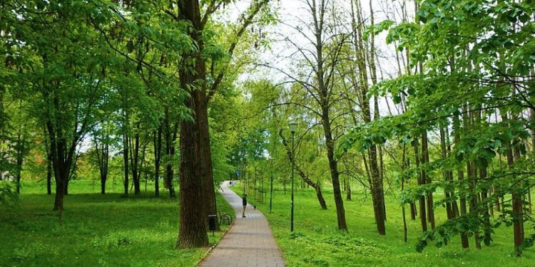 Park Dąbie - miejski park zieleni zzm w Krakowie