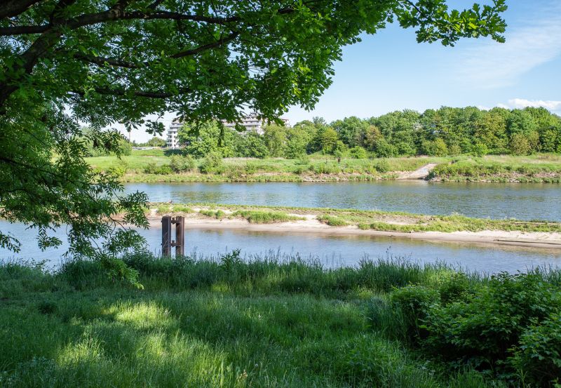 Park Dąbie w Krakowie