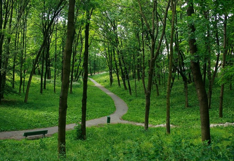 Plac Lotników Polskich w Krakowie