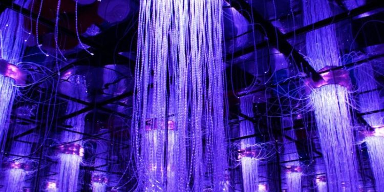 Womai Kraków - poznaj centrum nauki i zmysłów