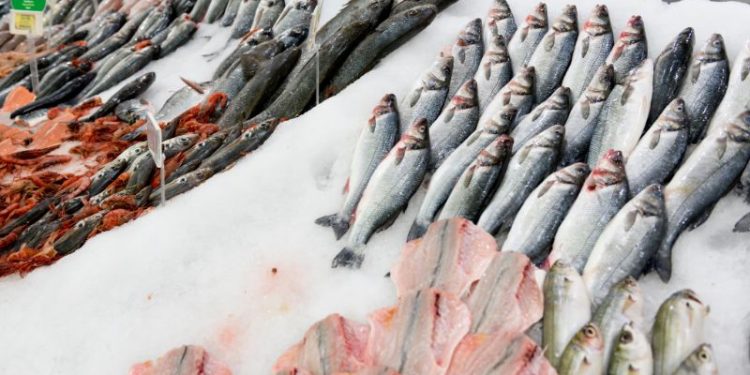 Gdzie kupić dobre ryby w Krakowie? Sprawdź najlepsze sklepy!