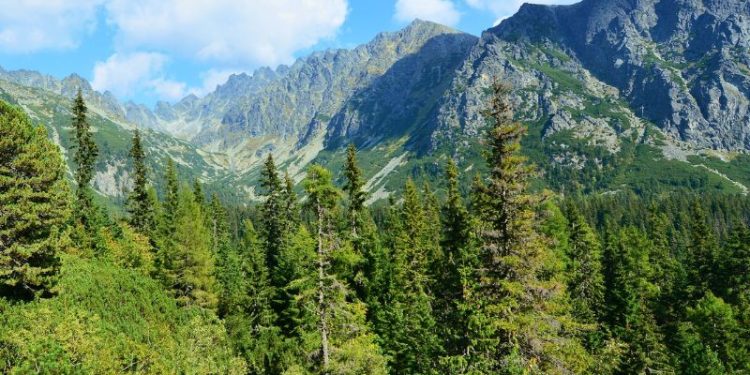 Widok na Tatry z Krakowa - skąd widać góry? [polecane miejsca]