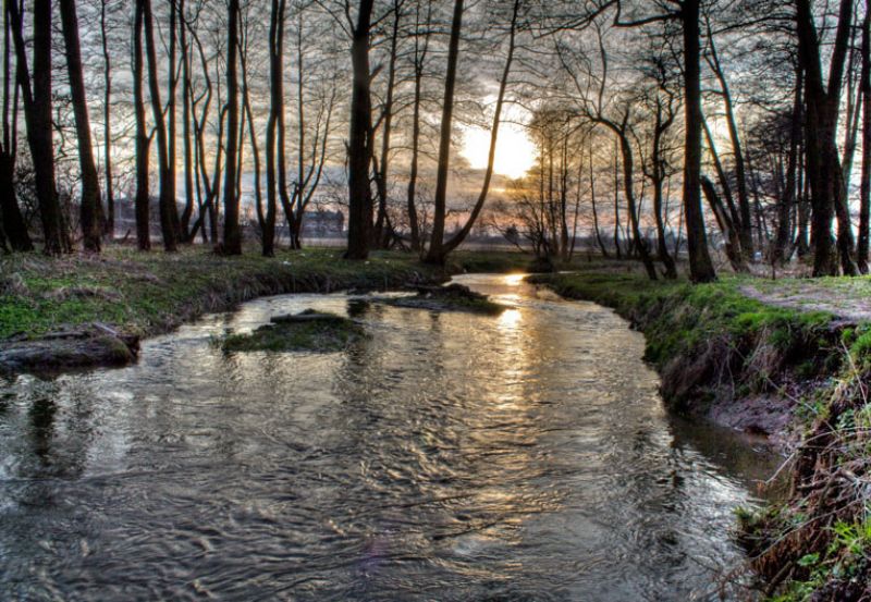 Rzeka Prądnik płynąca przez Kraków