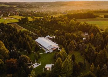 Brzoskwinia ogród atrakcja