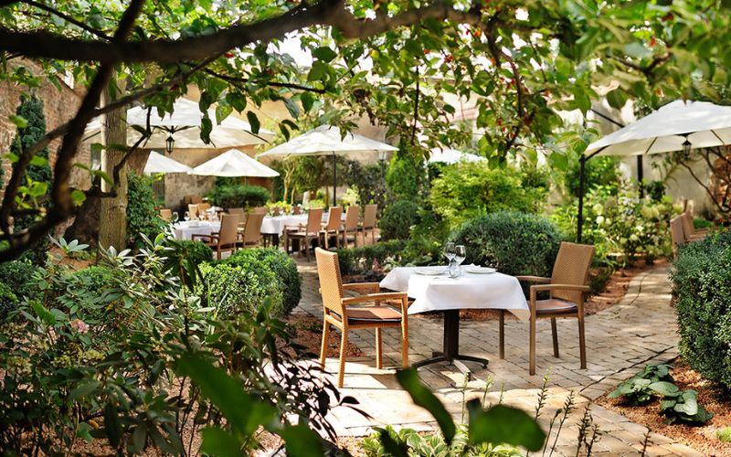 Zdjęcie przedstawia ogródek restauracji La Campana w Krakowie z mnóstwem roślinności