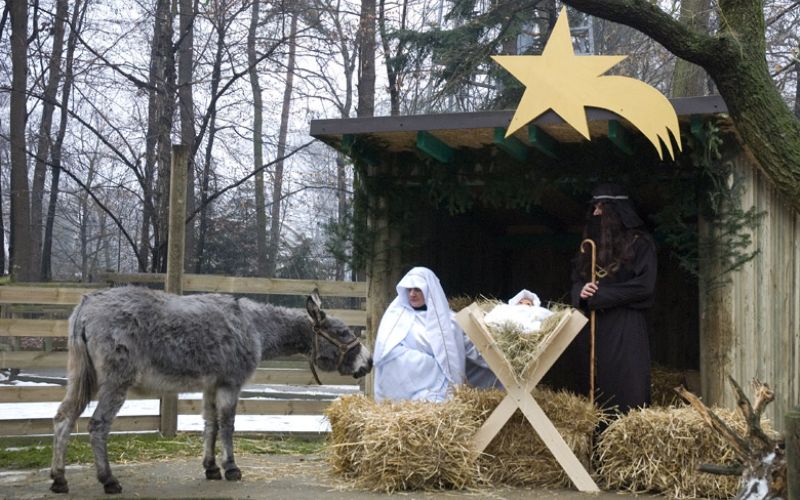 Zdjęcie przedstawia żywą szopkę krakowską podczas sceny z osłem