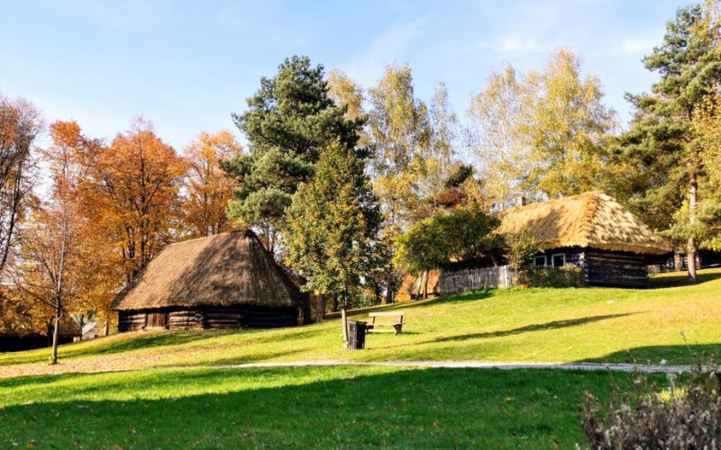 Zdjęcie przedstawia krajobraz nadwiślańskiego parku etnograficznego. Dwa domki wśród natury.