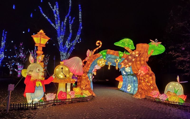 Zdjęcie przedstawia ogród świateł w Krakowie