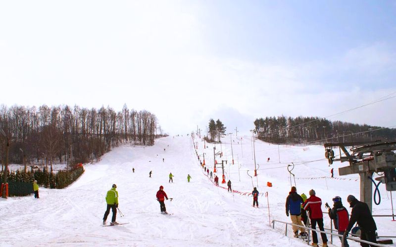 Zdjęcie przedstawia stok narciarski w Siepraw Ski, po którym zjeżdżają ludzie