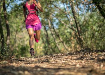 Szlaki blisko Krakowa