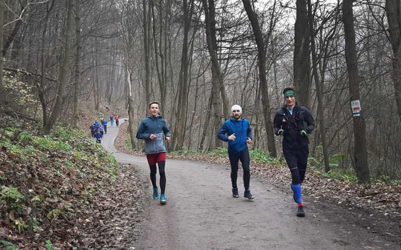 Zdjęcie przedstawia biegaczy w Dolinkach Krakowskich