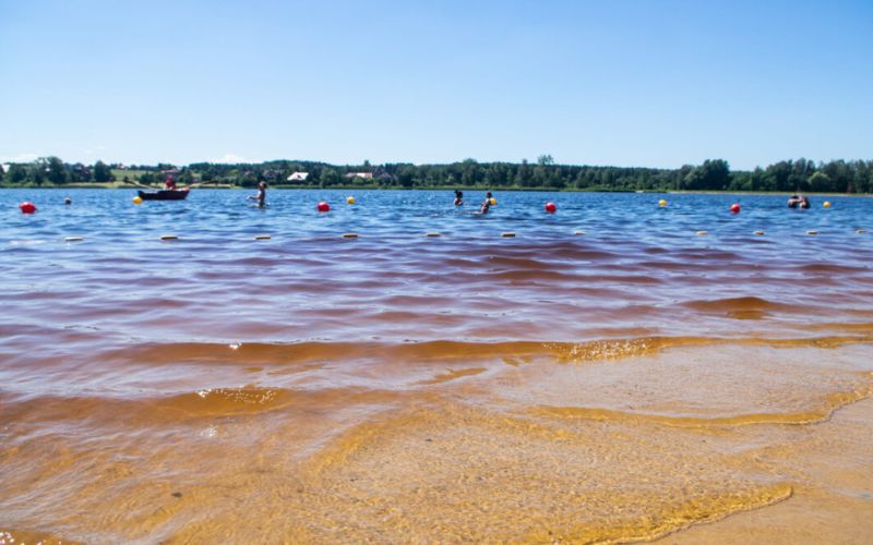 Zalew Chechło w Trzebini