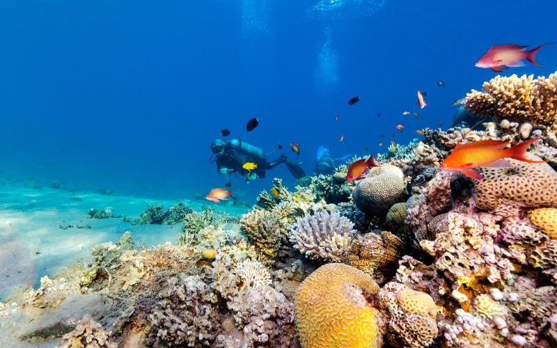 Egipt - rafa koralowa