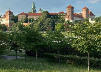 Zarząd zieleni miejskiej i krakowskie ogrody społeczne