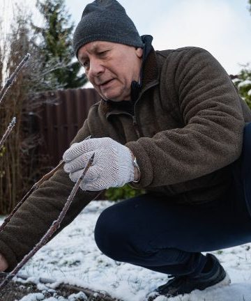 Luty w ogrodzie - co robić gdy zima jeszcze trzyma a wiosna już puka
