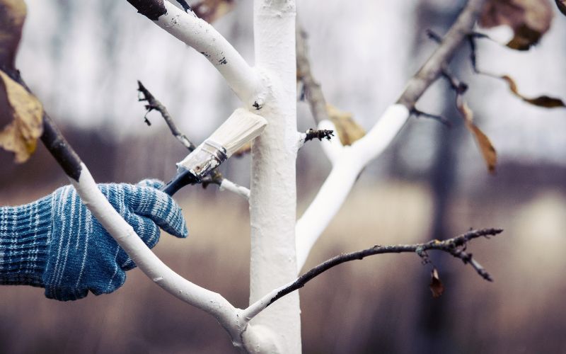Zdjęcie przedstawia rękę, która trzyma pędzel i bieli drzewo