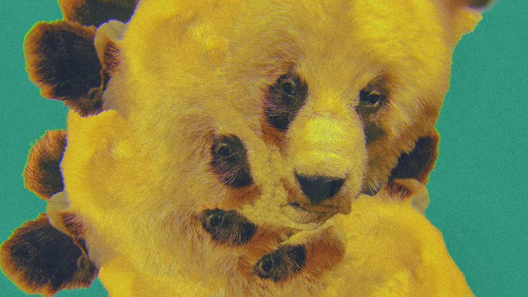 Green Zoo festiwal w Krakowie