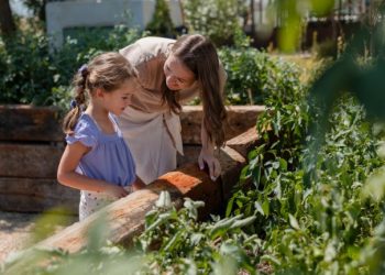 Maj w ogrodzie. Co robić w maju, żeby ogród nie został w tyle?