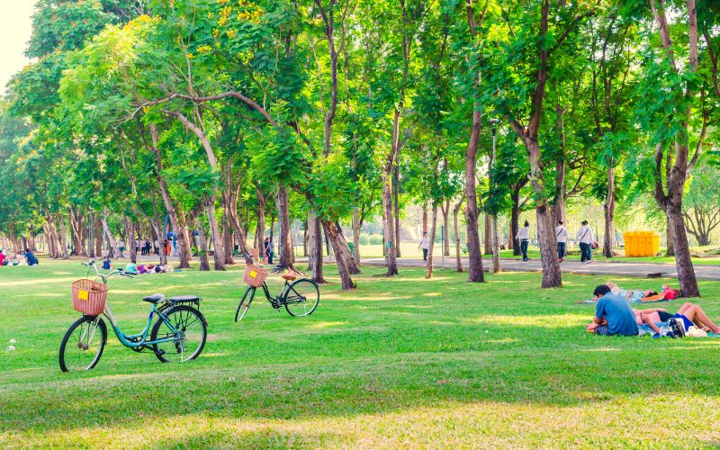 Zdjęcie przedstawia zielony teren w Krakowie, rowery w parku, ludzi na pikniku i spacerujących