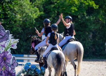 Farmy edukacyjne i mini zoo koło Krakowa. Gdzie pojechać z dzieckiem