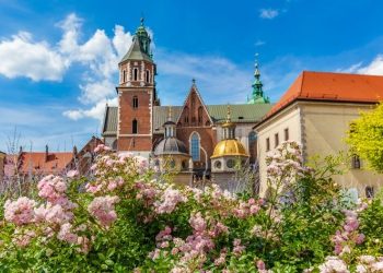 Historia zakwitła na Wawelu. Latem warto zajrzeć do Ogrodów Królewskich
