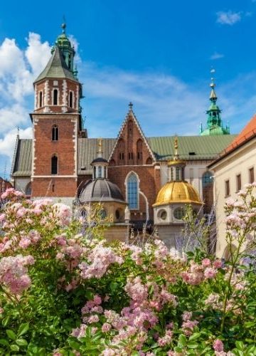Historia zakwitła na Wawelu. Latem warto zajrzeć do Ogrodów Królewskich