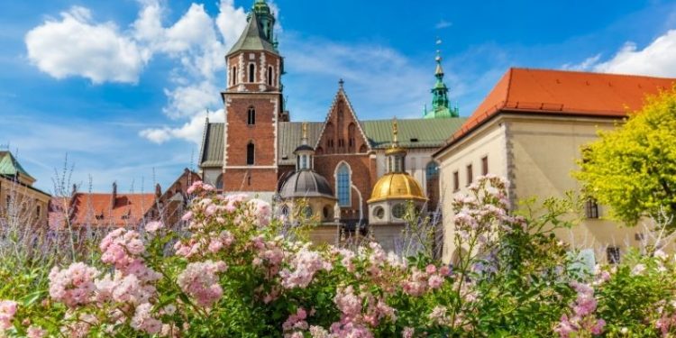 Historia zakwitła na Wawelu. Latem warto zajrzeć do Ogrodów Królewskich