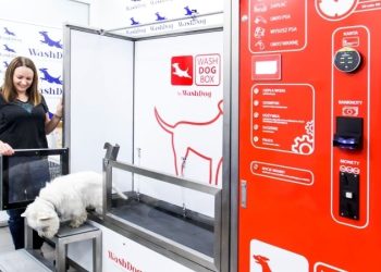 W Krakowie działają samoobsługowe myjnie dla psów