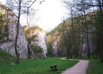 Dolina Mnikowska – dojazd, parking i szlaki. Spokojna dolinka pod Krakowem