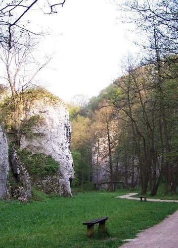 Dolina Mnikowska – dojazd, parking i szlaki. Spokojna dolinka pod Krakowem
