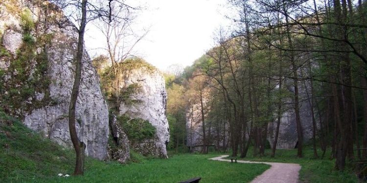 Dolina Mnikowska – dojazd, parking i szlaki. Spokojna dolinka pod Krakowem