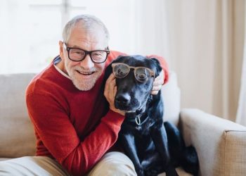Kraków łączy seniorów ze starszymi zwierzakami. Rusza akcja „Senior dla Seniora”