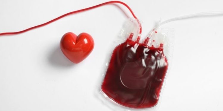 Oddajesz krew, odbierasz kupon i idziesz do gastro. W Krakowie ruszyła szósta edycja akcji