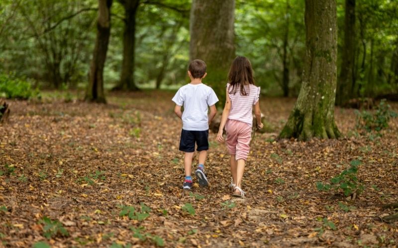 Wakacje z dziećmi w Krakowie. Pomysły na każdy tydzień lata