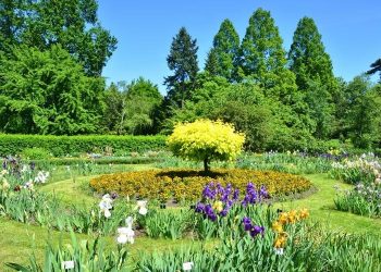 Ogród Botaniczny UJ. Zielona ucieczka w centrum Krakowa.