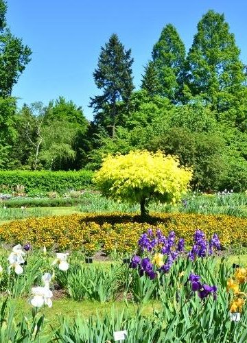 Ogród Botaniczny UJ. Zielona ucieczka w centrum Krakowa.