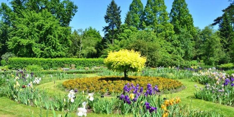 Ogród Botaniczny UJ. Zielona ucieczka w centrum Krakowa.