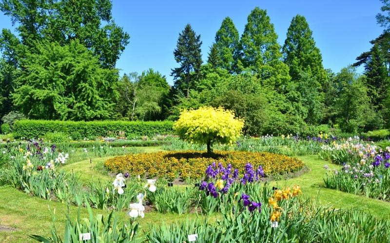Ogród Botaniczny UJ. Zielona ucieczka w centrum Krakowa.