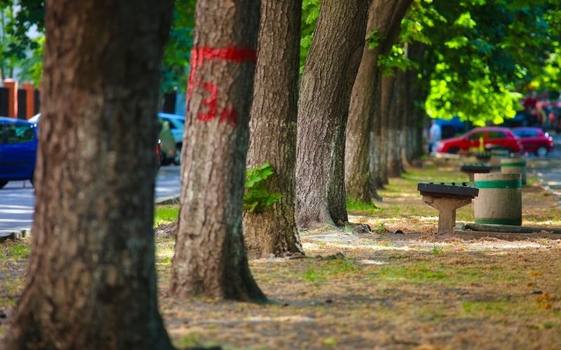 Tramwaj z Cichego Kącika nie pojedzie na Azory. Miasto szykuje krótszą trasę