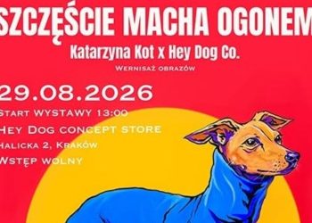 „Szczęście macha ogonem” w Krakowie. Wystawa sztuki pomoże bezdomnym zwierzętom