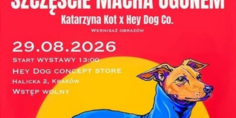 „Szczęście macha ogonem” w Krakowie. Wystawa sztuki pomoże bezdomnym zwierzętom
