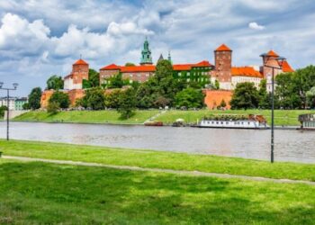 Owady nad Wisłą w Krakowie. Miasto wyjaśnia, skąd się wzięły