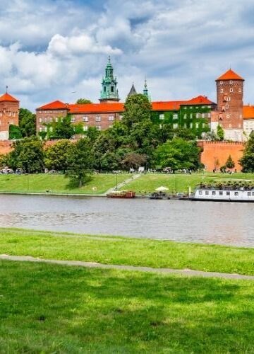 Owady nad Wisłą w Krakowie. Miasto wyjaśnia, skąd się wzięły